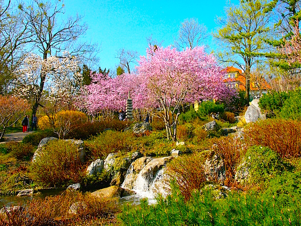Japán álomvilág Bécs közepén