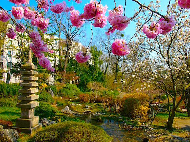 Éppen csak ébrednek a park növényei