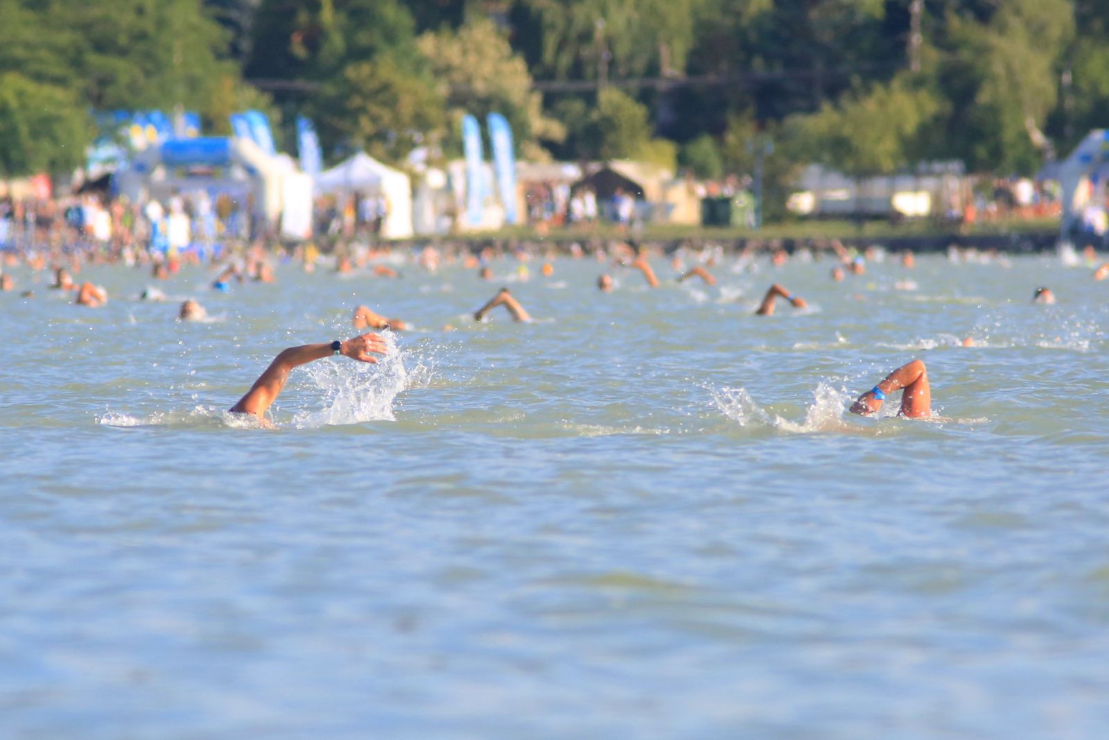 Balaton Balaton-átúszás úszás nyár esemény program Lidl július