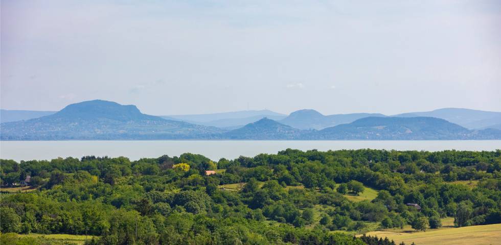 A Badacsony a Somoshegyi kilátóból fotózva az építmény avatásának napján, 2022. június 14-én. Balaton Somoshegyi kilátó látkép Badacsony erdő klímaváltozás erdőirtás mező kilátás panoráma 2022 nyár