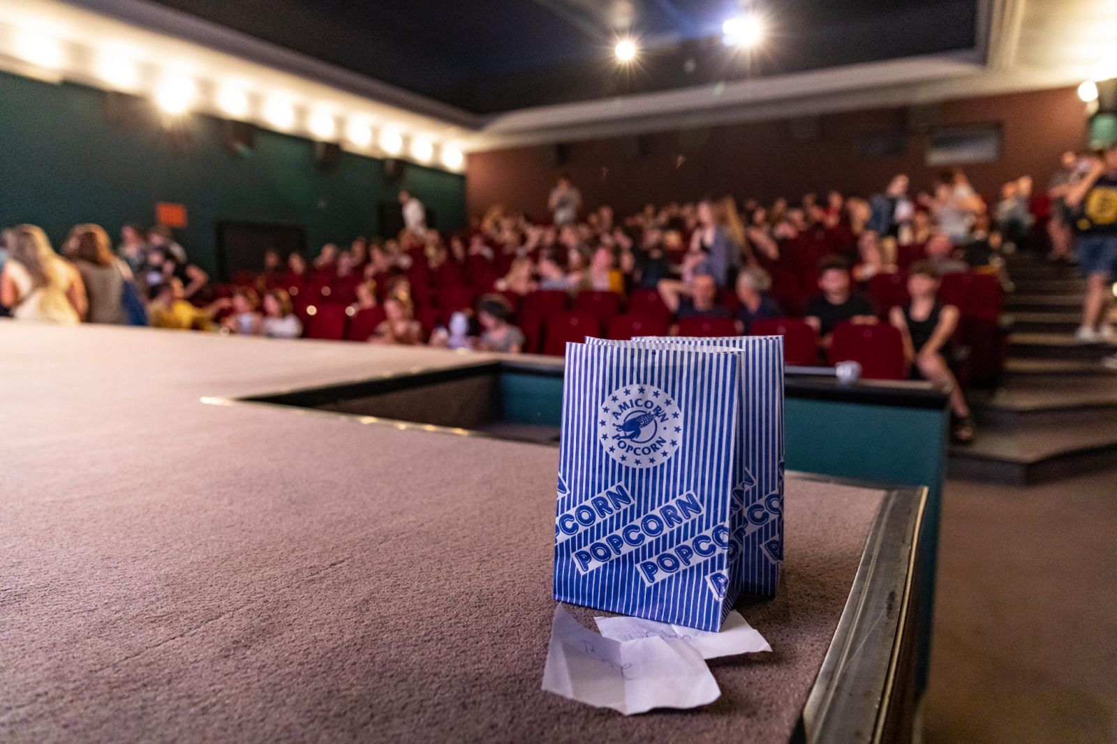 A filmeket a Toldi Moziban láthatta a nagyközönség. Toldi Mozi Friss Hús vetítés magyar díj film produkció siker