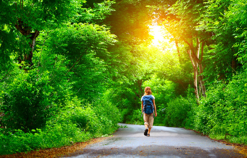 erdő út nő sétál egyedül zöld fák