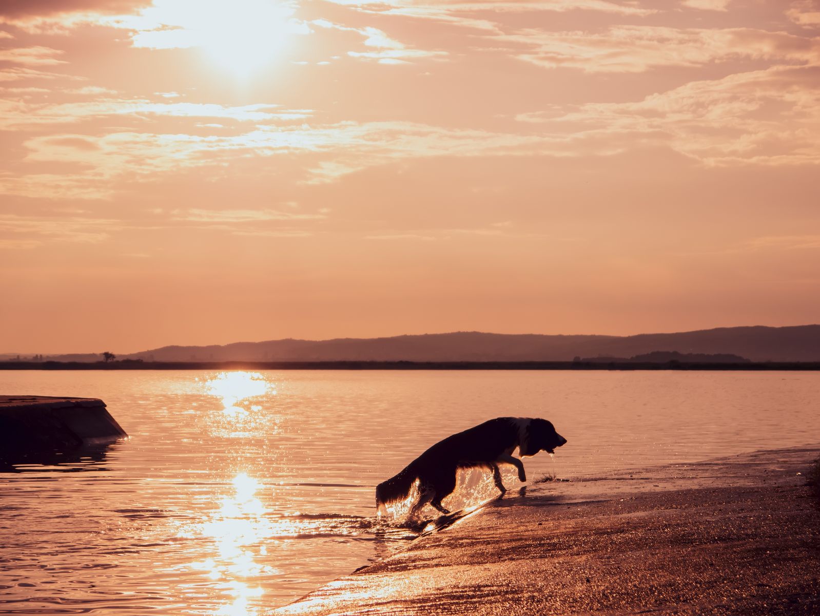 kánikula Magyarország időjárás előrejelzés Budapest Dunántúl Balaton jégeső eső zápor nyár 2022 június hőség hőfok kirándulás program esemény figyelmeztetés veszélyjelzés kutya úszás víz vízhőmérséklet