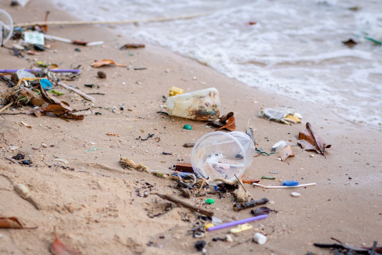 gyászbogár lárva 2022 műanyagszennyezés lebontás kutatás tudósok felfedezés plastic hulladék Föld kukac rovar ócean tenger