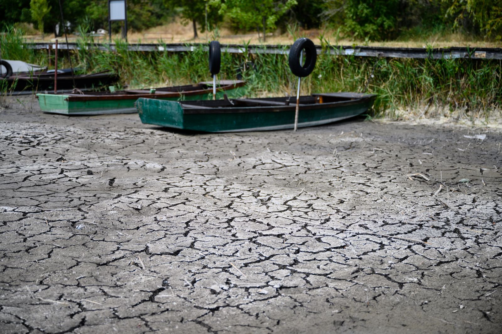 Velencei-tó kiszáradt aszály szárazság rekord meleg kánikula hőség 2022 nyár víz vízminőség