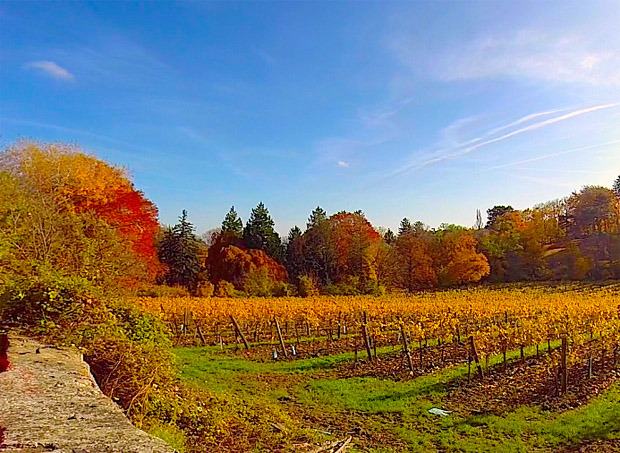 Az ősz csodálatos színei