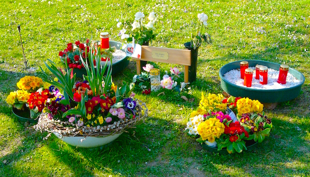 Friss tavaszi virágok Udo Jürgens sírján