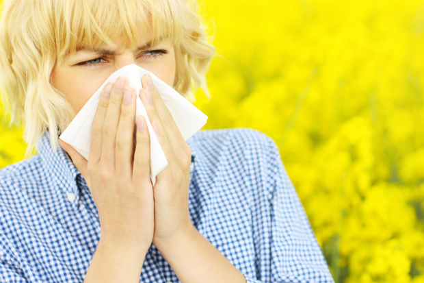 Kiderült, hogy 30 perc csókolózás csökkenti a szénanátha tüneteit. Néhány tanulmány szerint a jó csók csökkenti azoknak az immunoglobulin E antitesteknek a növekedési ütemét, amelyek az allergiás tünetekért felelős hisztamint bocsátják ki.