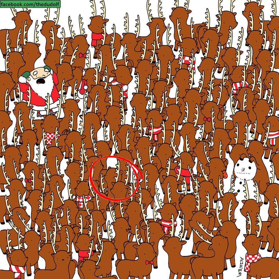 Dudolf újabb képrejtvénye