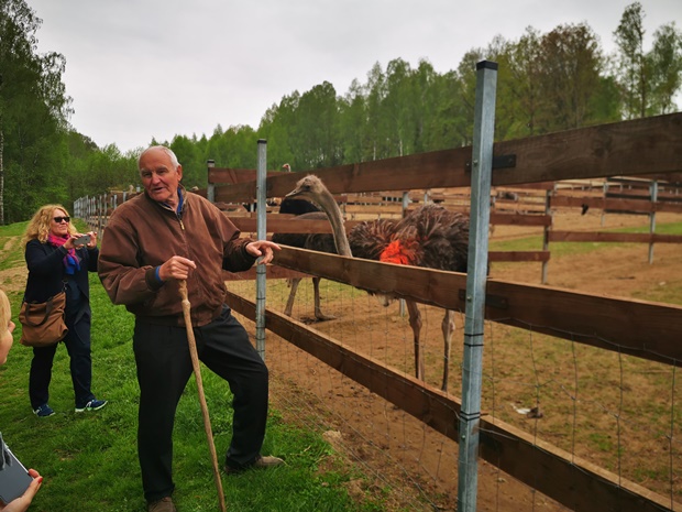 Egy struccfarm története