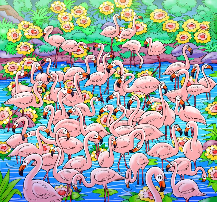 Megtalálod a lányt a flamingók között?