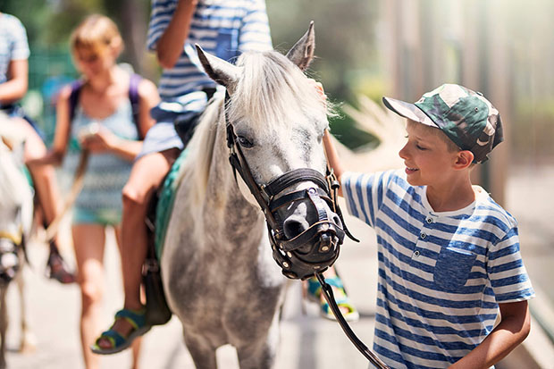 ottalvós lovastábor nyáron gyerekeknek