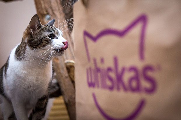 whiskas macska eledel etetés 