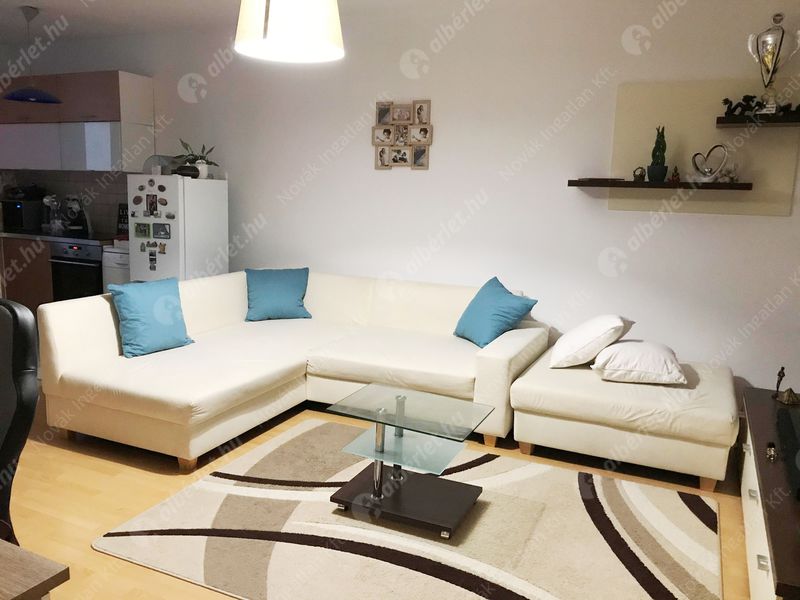budapest albérlet