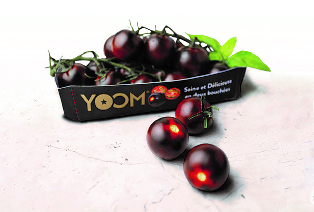 yoom umami paradicsom vitamin