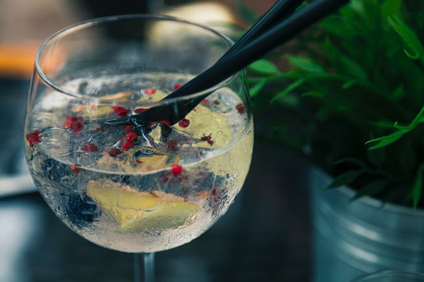 ginfűszerek japán gin tonik fajták ízek