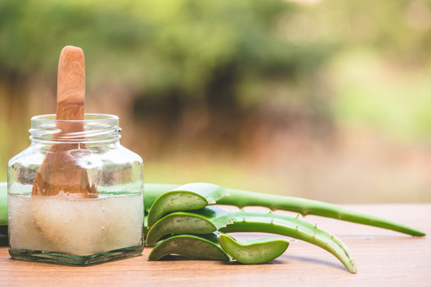 Aloe vera és glicerin
