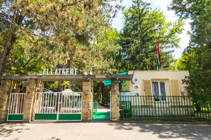 fák állatkert kapu zöld