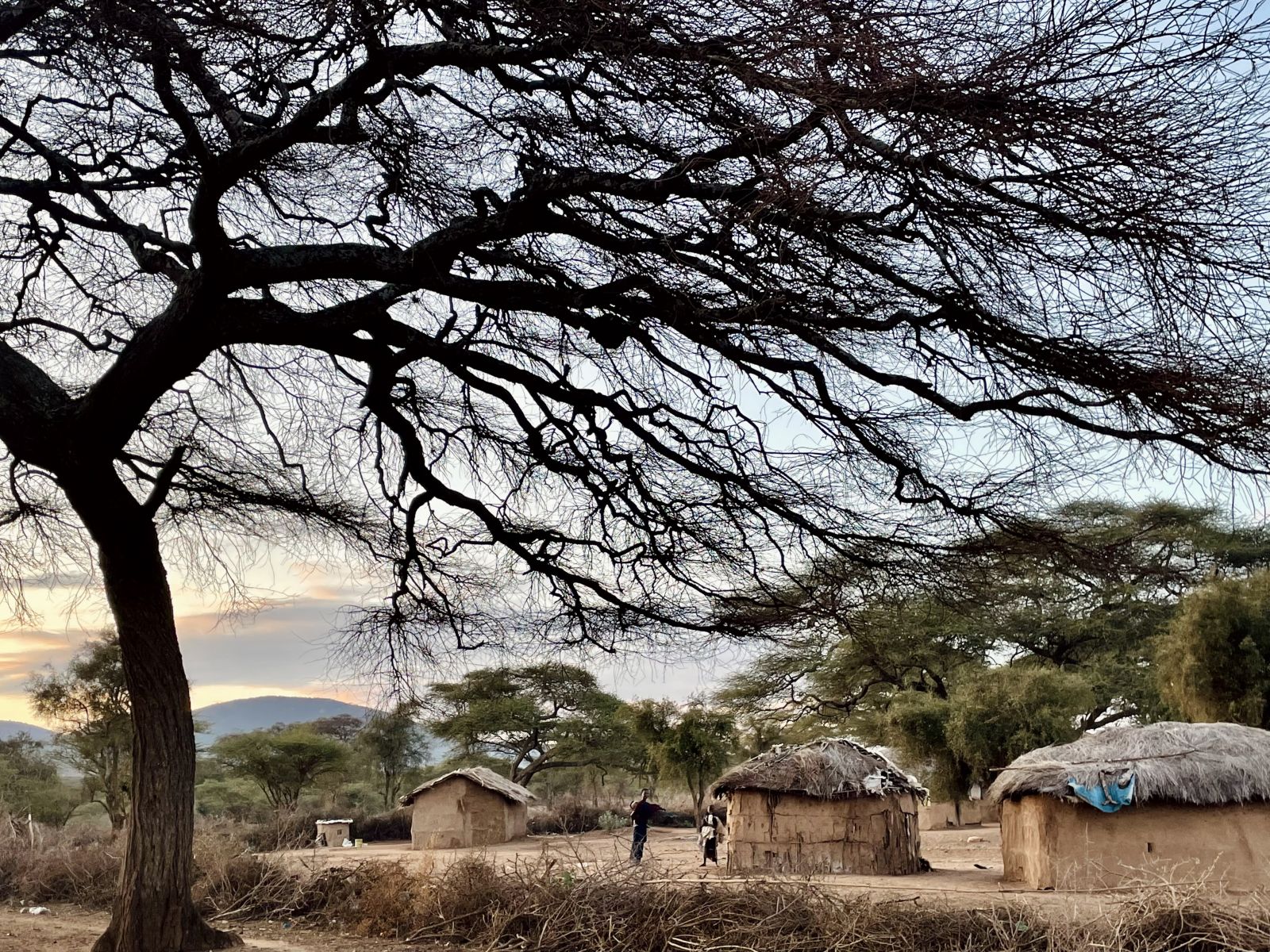 afrika tanzánia orvosi misszió magyar orvosok