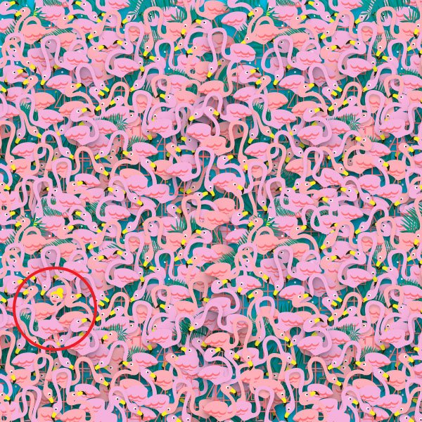 flamingó balerina rózsaszín 