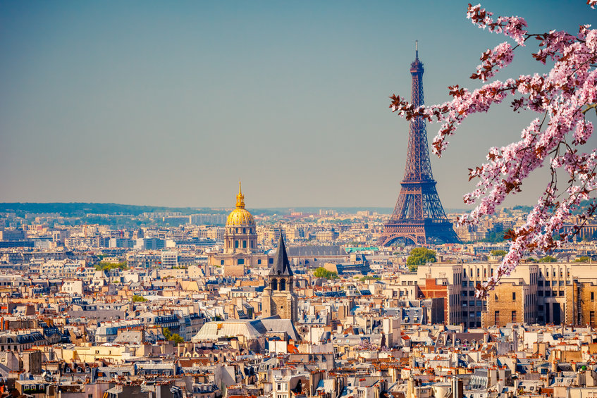 Párizs város utazás fotó eiffel torony virág fa épületek napsütés