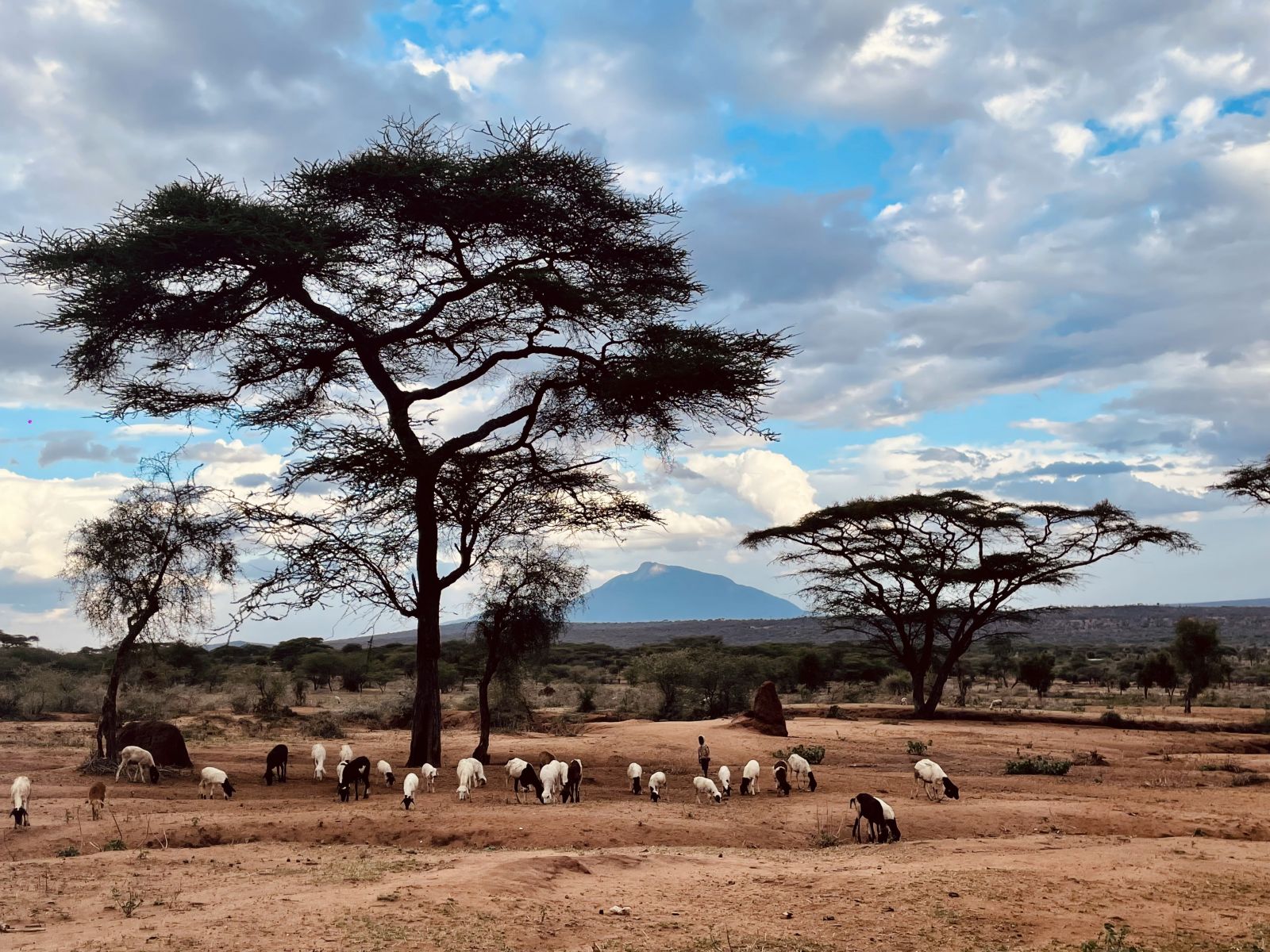 afrika tanzánia orvosi misszió magyar orvosok