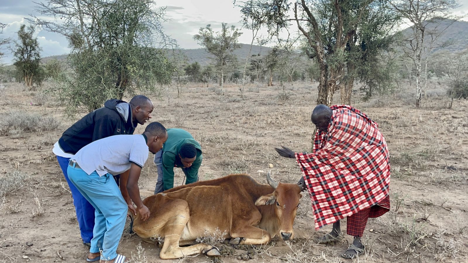 afrika tanzánia orvosi misszió magyar orvosok