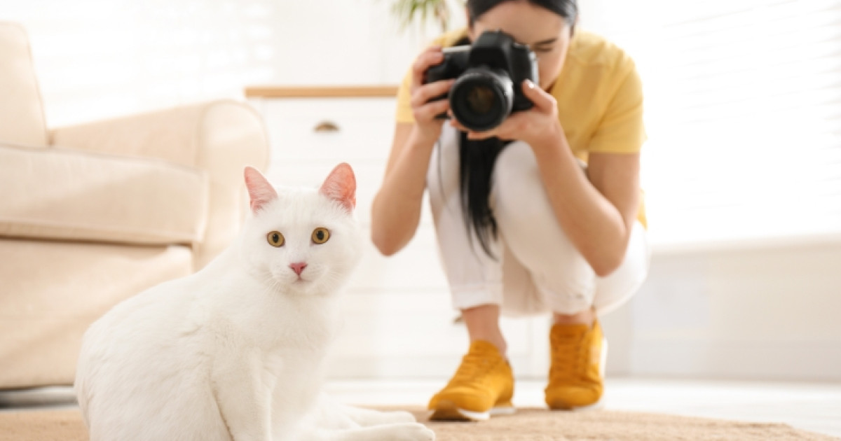 Azt gondolta a nő, hogy egy macskát vesz videóra: aztán amikor közelebb ment hozzá, nem hitt a szemének