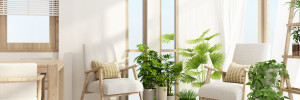 Ezeket szerezd be otthonra: 5 szobanövény, amely alaposan megtisztítja a lakás levegőjét