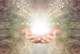 7. szakasz: Szellem

A szíved most teljesen felébred. Megtapasztalod az isteni és egységtudatot. Nincs többé elválasztás. Nincs sem adakozó, sem adott. Csak az egység tudata. A spirituális gyakorlatod a tiszta öröm. Minden csakra nyitva van, a spirituális energia szabadon áramlik. Amikor eléred a hetedik szakaszt, már nincs választási lehetőség. Teljesen harmóniában működsz a természettel.