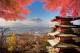 Kiotó, Japán: A várost egykor Heian-kyo néven ismerték, melynek jelentése "a béke és a nyugalom fővárosa", telve spirituális helyszínekkel. Több mint ezer éven át a japán kultúra fellegvára volt, pozícióját pedig a mai napig őrzi. 