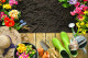 Kert: Kiderült, hogy a kávé gazdagítja és táplálja nitrogénnel a kerti talajt. Például komposztként is használható.