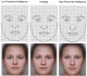 A nők vonásainál a következők voltak megfigyelhetők: (Az első kép a kevésbé intelligens, a második az átlagos, az utolsó pedig a nagyon intelligens nő.) Vékonyabb, hosszúkás csontos arc, nagyobb orr, távol ülő nagy szemek, alacsony szemöldök.