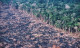 Brazília: Brazíiliában hatalmas mennyiségben írtják az erdőket, aszályok, árapályok fordulnak elő egyre gyakrabban, a mezőgazdaság és energiaellátás limitét elérve pedig - tavaly nyáron két hétre korlátozni kellett Brazíliában a vízellátást- Brazília azon országok egyike, ahol a klímakrízis a legérzékelhetőbb és legláthatóbb. Jair Bolsonaro miniszterelnök híresen klímatagadó, nem titkolja azt sem, hogy az erőforrásainkat nem megőrizni, hanem kiaknázni szándékozik, leghíresebb és legtöbbekben felháborodást kiváltó lépése volt, hogy a Földünk tüdejének számító Amazonas esőerdő írtását nemcsak engedélyezte, de fel is gyorsította. Így az esőerdő olyan ütemben pusztul, hogy félő, hogy nemsokára teljesen eltűnik. Ennek ellenére a szavazók leginkább a munkanélküliséget, az egészséget, és a biztonságot tartották fontosnak a tavaly évi felmérés során, csupán 1% gondolta a környezetvédelmet fontos problémának. 