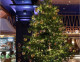 Íme az elkészült, 12 millió fontot érő karácsonyfa a maga pompájában.