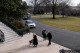 A fehér házi fotók alapján a két német juhászkutya pár nappal a Biden házaspár után költözött be a fehér Házba, és a közösségi médiában közzétett fotók alapján nagyon jól érzik magukat Washingtonban.