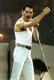 Freddie Mercury halála előtt végrendeletet készített, melyben meghagyta, hogy az akkori és a jövőbeni bevételeinek legnagyobb részét kire hagyja.