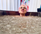 Gaga szinte ordít a fájdalomtól legújabb fotóján, amin egy jeges vízzel teli kádban ül.