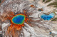 Grand Prismatic Spring

A Yellowstone Nemzeti Parkban található a park legnagyobb különálló hőforrása, a Grand Prismatic Spring, amely egy körülbelül 90 méter átmérőjű, 50 méter mély üreg, amelyből 70 fokos víz tör fel, azonban a forrást inkább színei teszik különlegessé, mintsem méretei. A nem mindennapi színkombinációt a hőforrás a különböző baktériumoknak köszönheti, amelyekre a külső hőmérséklet is hatással van, így a tó minden évszakban változtatja színeit.