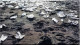 Rengeteg különböző méretű jégdarab található a fekete homokos parton. 
