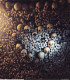 A falakat teljes mértékben emberi maradványok borítják: egyes helyeken a koponyákat szív- vagy kereszt alakban rendezték el.