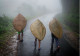 A munkások ezt a hagyományos kaszi esernyőt használják a nedves napokon, amik bambuszból és banánlevélből készülnek, és ellenállnak a térségben végig söprő viharos szélnek is, ami az esős időjárást kíséri.