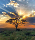A 30 ezer négyzetkilométer területű, Tanzánia északi részén, a Viktória-tótól keletre fekvő és Kenya déli határáig terjedő Serengeti kellős közepén található a világ egyik legnagyobb és legismertebb nemzeti parkja. A 14 763 négyzetkilométeres Serengeti Nemzeti Park 1981 óta az UNESCO világörökségi listáján is szerepel, és a bioszféra-rezervátumok egyike is.