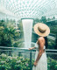 Botanikus kert

A Szingapúr-Changi Repülőtéren a gyönyörű vízesés mellett egy beltéri pillangókertet és orchideakertet is találsz.