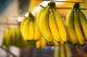 Tanácsos továbbá a közkedvelt déli gyümölcsöt speciális állványon tartani, ezáltal ugyanis kevésbé nyomódik meg. A barnulás lassítása érdekében bevethetsz egy kis citromlevet is, amivel nyugodtan meghintheted a banánhéjat.