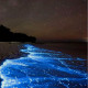 1. Vaadhoo sziget, Maldív-szigetek

A különleges planktonok miatt éjszakai égbolt fénye csillogóan tükröződik a tengerparton