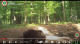 A Bükki Nemzeti Park igazgatósága megosztott egy friss videó a medvéről, kit egyelőre ismeretlen okok miatt Mihálynak neveztek el.