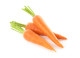 Sárgarépa

A sárgarépa sokoldalú zöldség, jelentős vitaminforrás, régóta ismerjük és termesztjük.