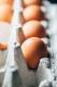 A tojásokra gyakran speciális anyagot raknak, hogy megvédjék őket a baktériumok okozta szennyeződésektől: a víz azonban tönkreteszi ezt a „védőréteget”, ezért a tojásokat soha ne mossuk meg felhasználás előtt.