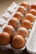 A tojások frissességét úgy tudjuk a legjobban megőrizni, ha dobozukban, a hűtőben tároljuk őket, távol minden olyan ételtől, aminek erős, intenzív az illata van – ez pedig nem véletlenül van így.